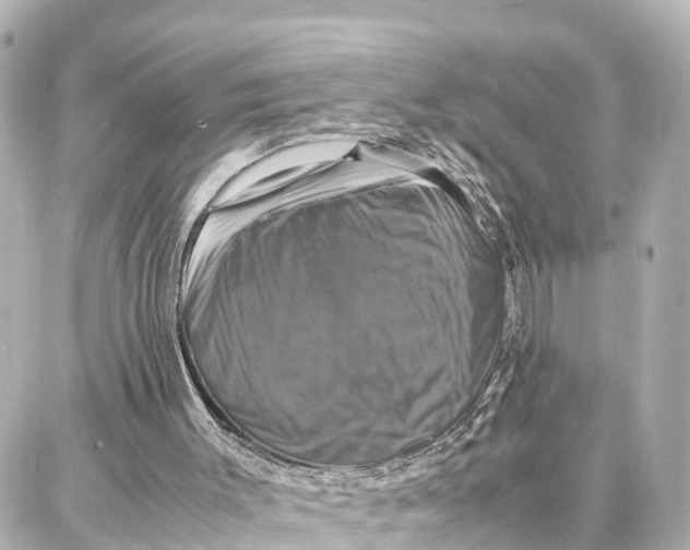X0000087710003200705251810