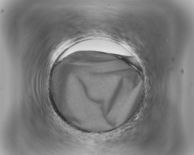 X0000087710007200705251810