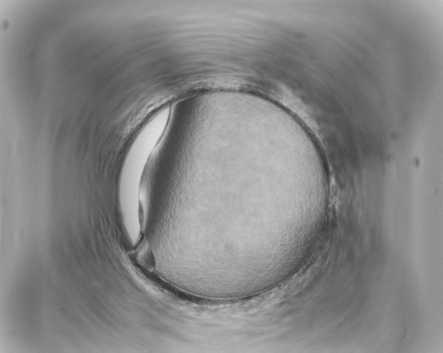 X0000087710013200705251810