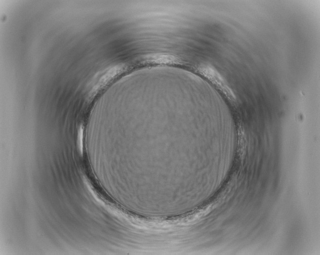 X0000087710014200705251810