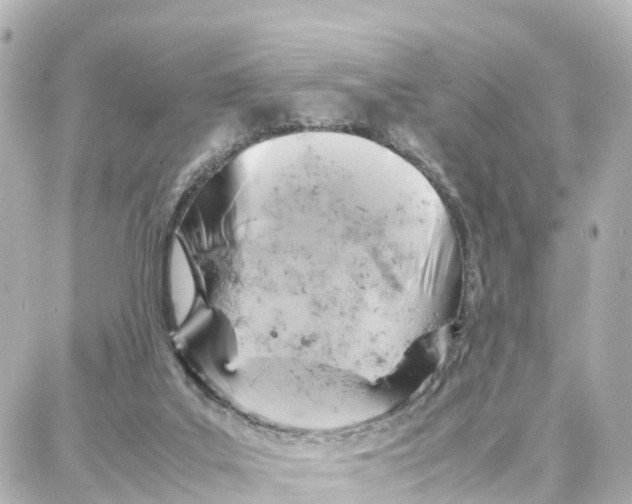 X0000087710019200705251810