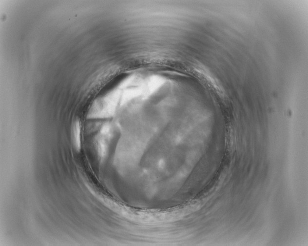 X0000087710022200705251809