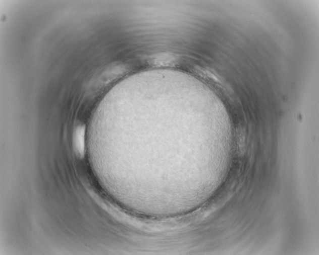 X0000087710028200705251809