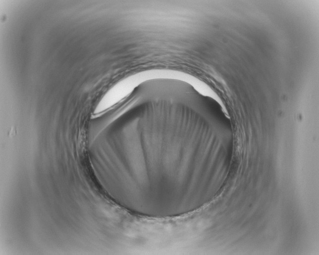 X0000087710029200705251809