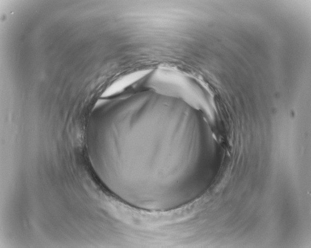 X0000087710039200705251809