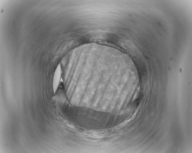X0000087710041200705251809
