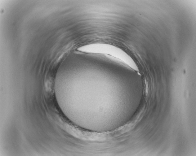 X0000087710044200705251809