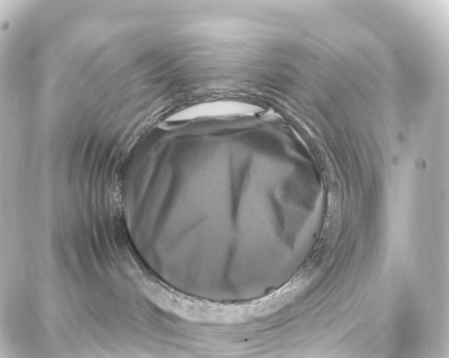 X0000087710048200705251809