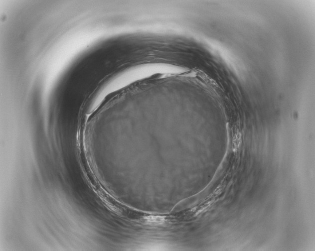 X0000087710052200705251808