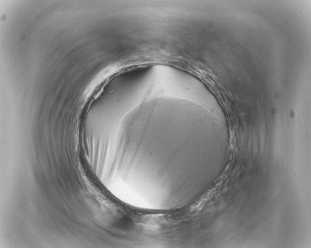 X0000087710054200705251808