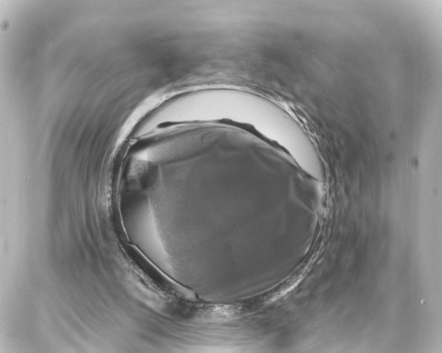 X0000087710056200705251808