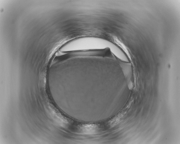 X0000087710059200705251808