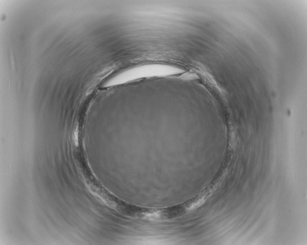 X0000087710068200705251809