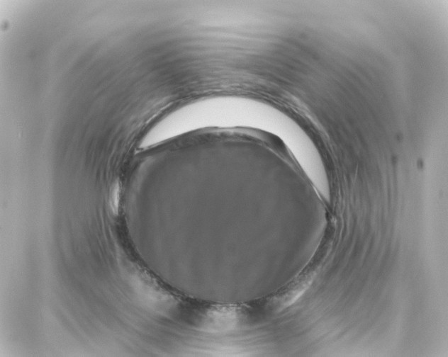 X0000087710076200705251809