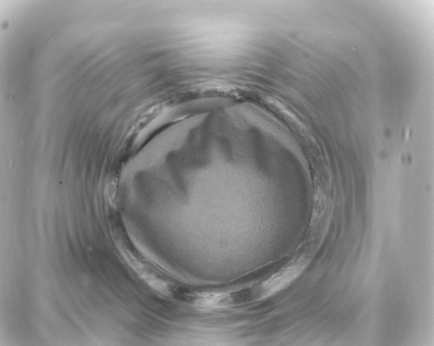 X0000087710096200705251809