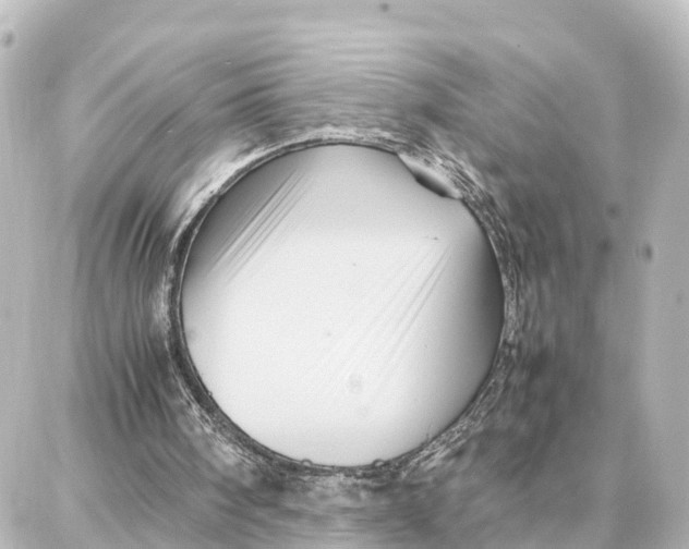 X0000087710098200705251808