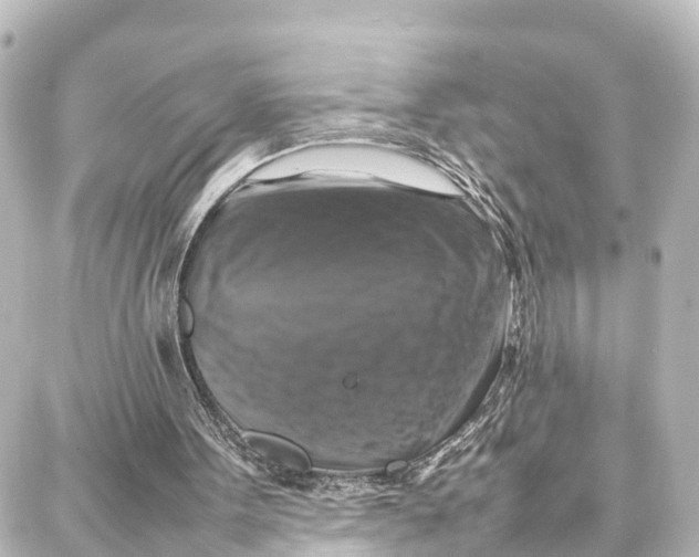 X0000087710099200705251808