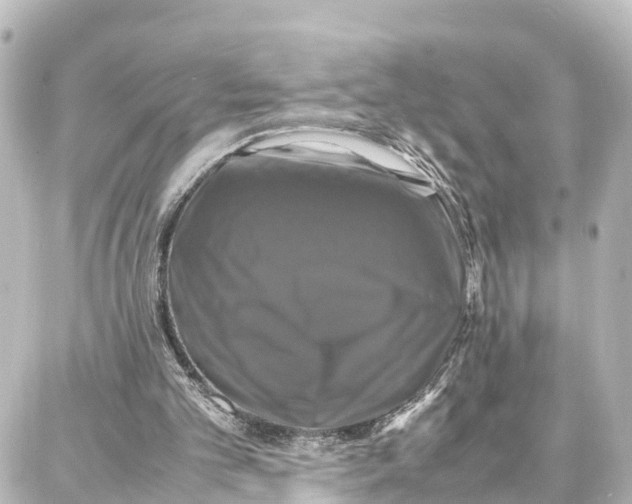 X0000087710101200705251808