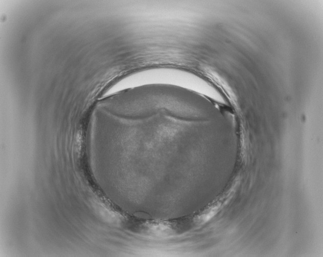 X0000087710113200705251808