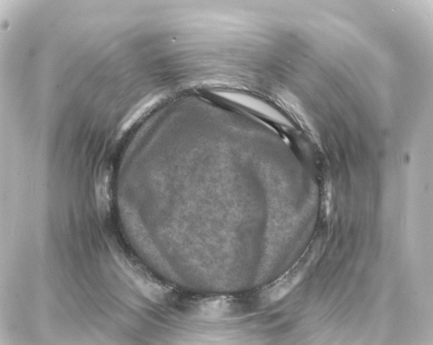 X0000087710116200705251808
