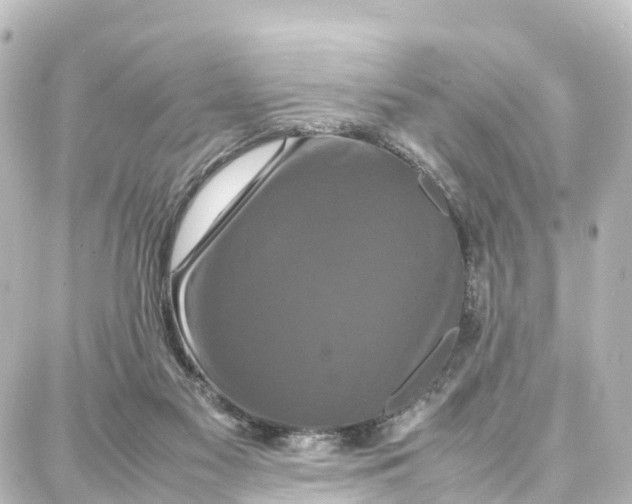 X0000087710117200705251808