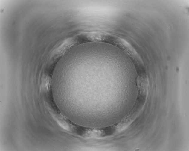 X0000087710125200705251808