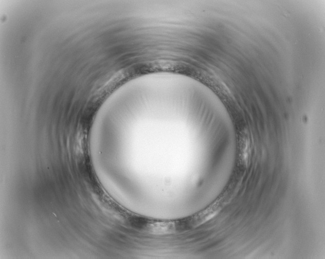 X0000087710126200705251808