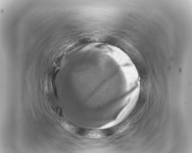 X0000087710127200705251808