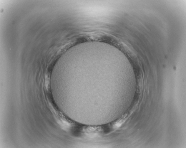 X0000087710129200705251808