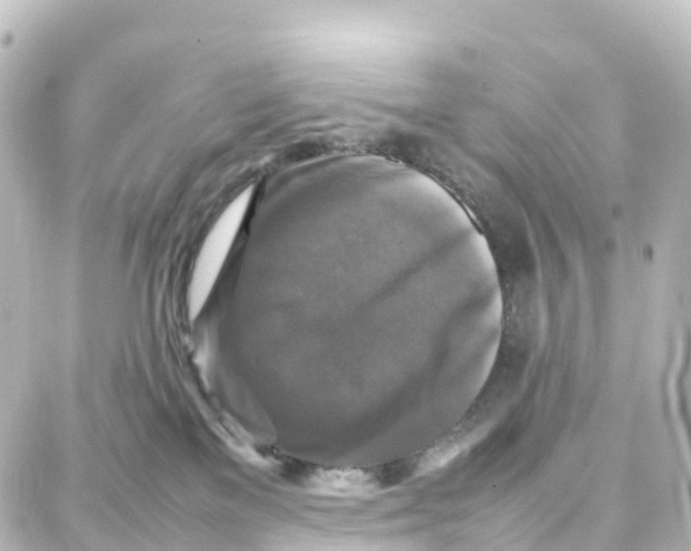 X0000087710137200705251808