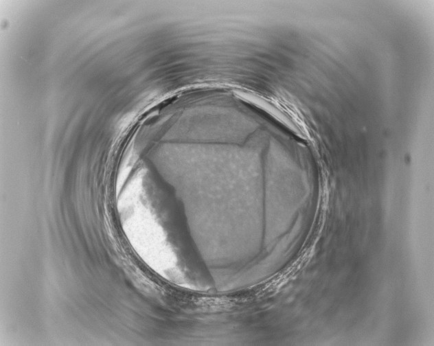 X0000087710145200705251807