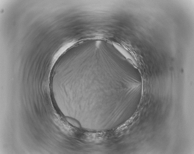 X0000087710147200705251807