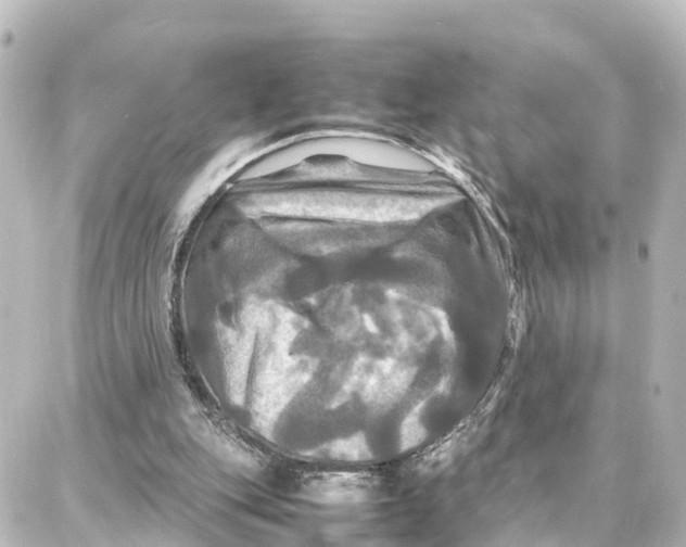 X0000087710151200705251807