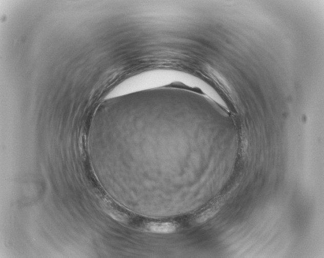 X0000087710169200705251807