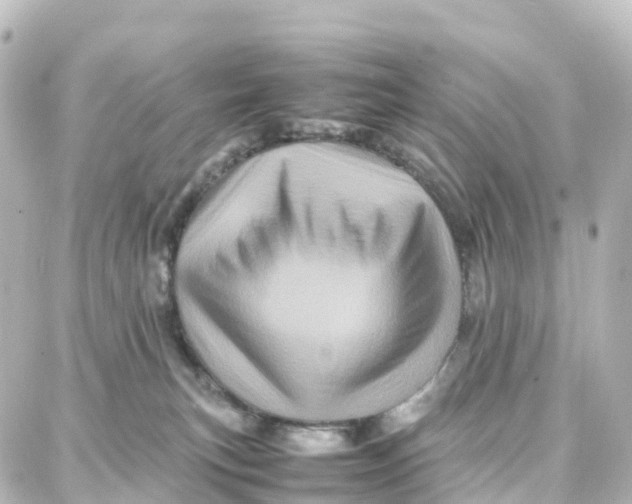 X0000087710183200705251807