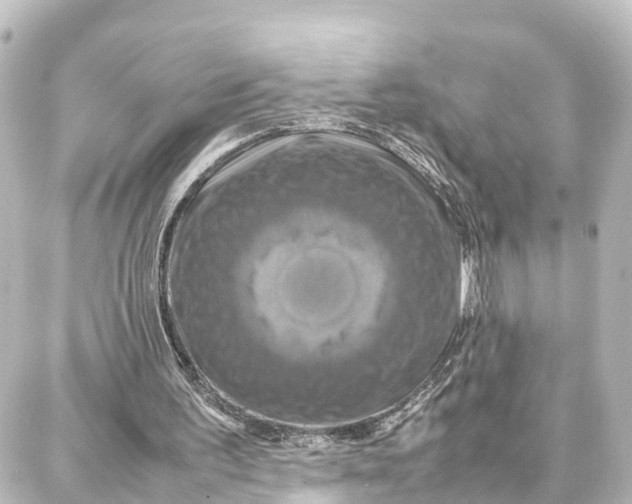 X0000087710195200705251807