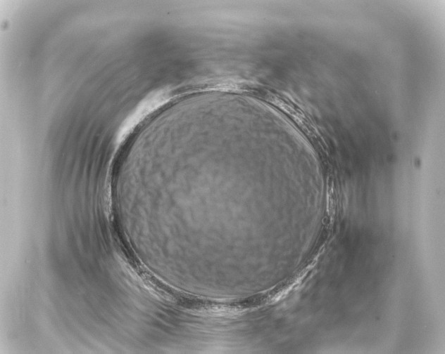 X0000087710198200705251807