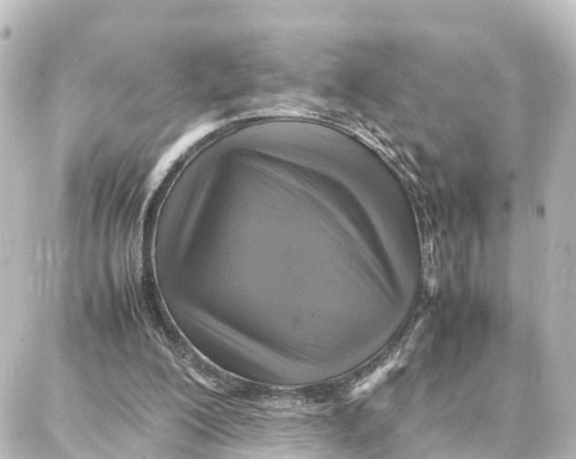 X0000087710200200705251807