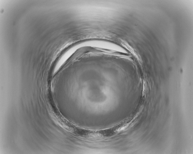 X0000087710203200705251807