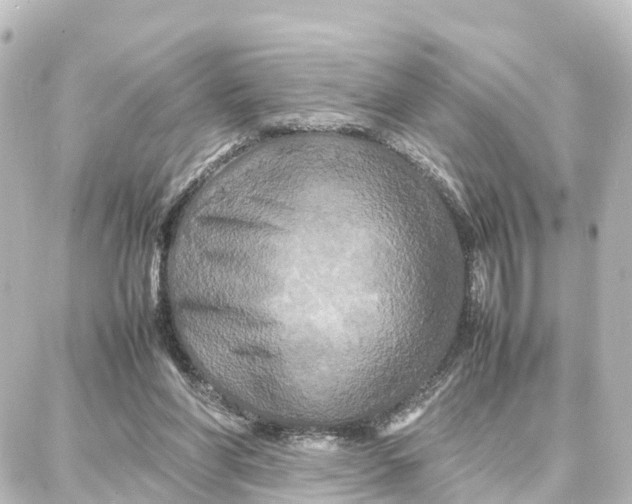 X0000087710206200705251807