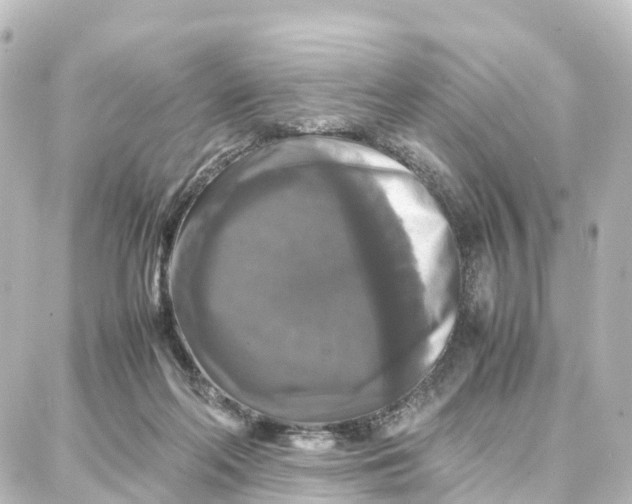 X0000087710214200705251806