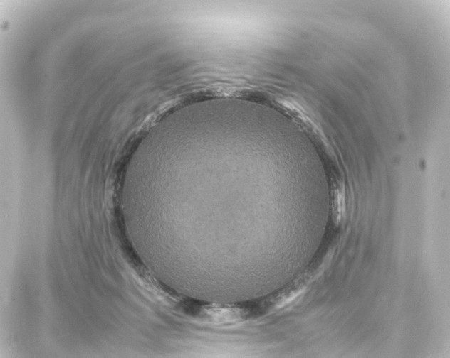 X0000087710221200705251806