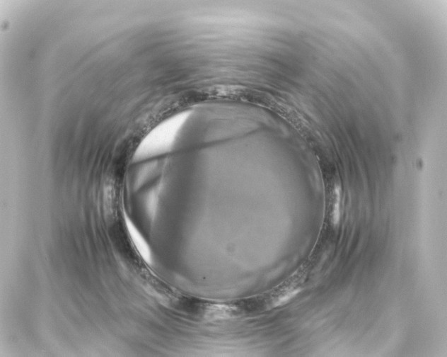 X0000087710222200705251806