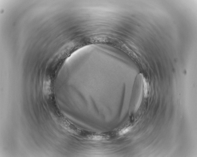 X0000087710224200705251806