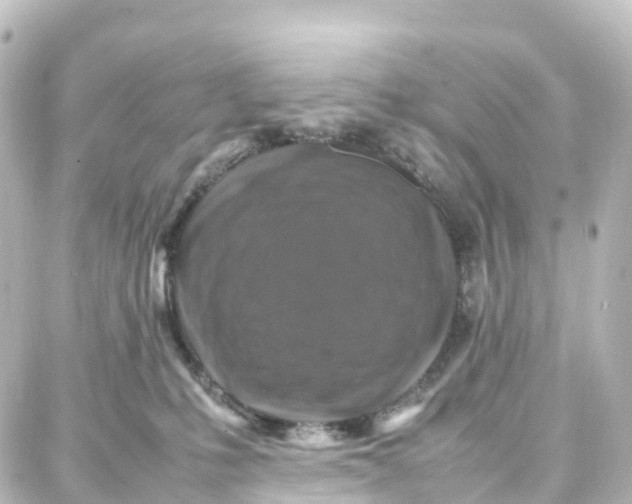 X0000087710231200705251806
