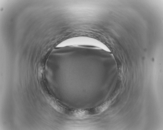 X0000087710235200705251806