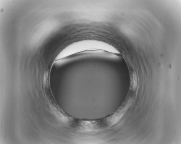 X0000087710239200705251806