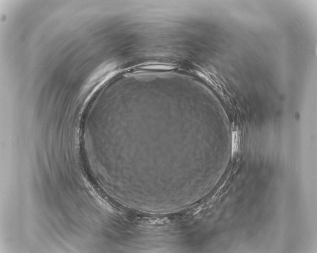 X0000087710243200705251805