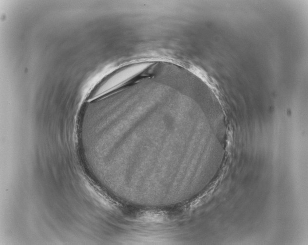 X0000087710248200705251805