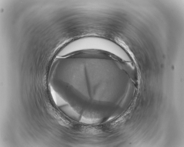 X0000087710249200705251805